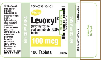 levoxyl-06.jpg PRINCIPAL DISPLAY PANEL - 100 mcg Tablet Bottle Label - levoxyl 06