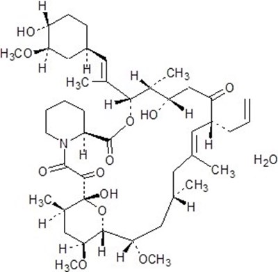 image description - structure