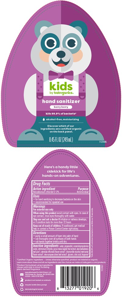 sanitizer-01.jpg Principal Display Panel - 249 mL Bottle Label - NDC 59062-4101 - sanitizer 01