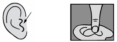 Step 4 Image 1 (75d8099b 4e08 43c0 811e 589d4fb52932 05)