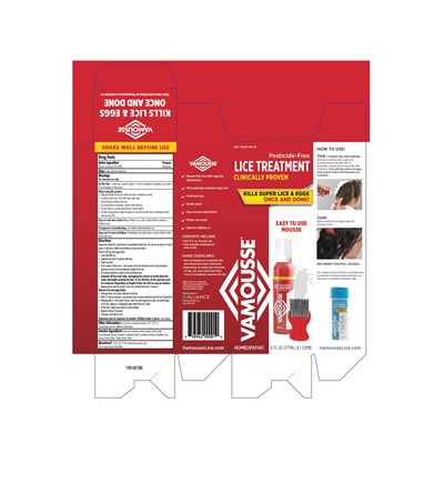 LiceTreatmentBOX..jpg LiceTreatmentBOX.