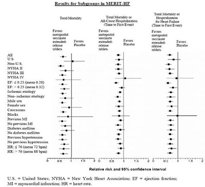 meto-figure.jpg - meto figure