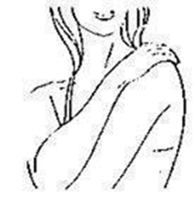 Figure F (5f346be7 1b1c 4b9d 84a5 960844c11dfb 08)