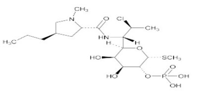 Clinidamycin Structure