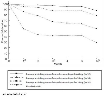 Figure 2: Maintenance Of Healing Rates By Month (study 177) (Esomeprazole Magnesium Delayed Release Capsules Us 2)