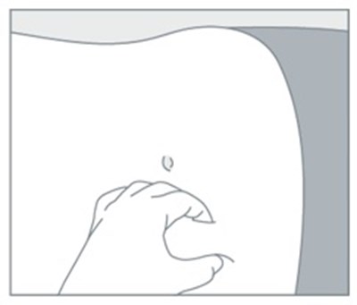 Figure (Figure0012)