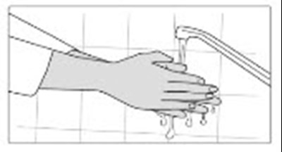 siklos-04.jpg Figure - siklos 04