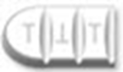 siklos-21.jpg Figure - siklos 21