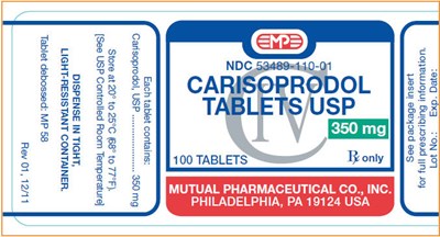 Principal Display Panel (100 Tablet Label)