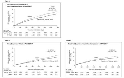 781df5f7-56d9-43de-805e-f9ce9f931690-05.jpg Image - 781df5f7 56d9 43de 805e f9ce9f931690 05