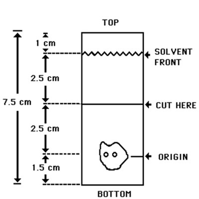 Figure 1.0 (Cardiolite 01)