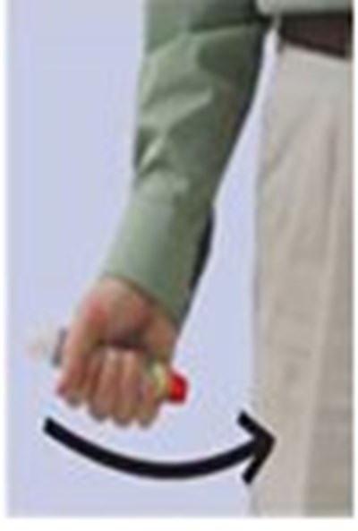 Instructions for Use Step 2 Figure 2 - image 07