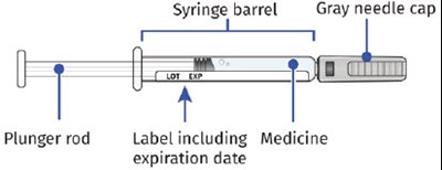 Image 1 (UDENYCA ONBODY injector)
