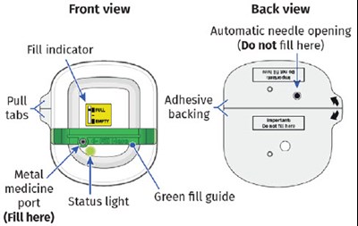 Image 2 (UDENYCA ONBODY injector)