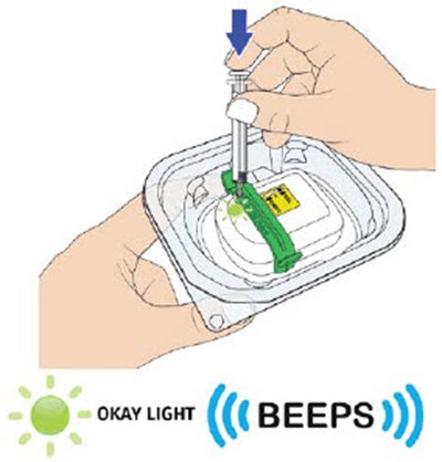 Image 10 (UDENYCA ONBODY injector)