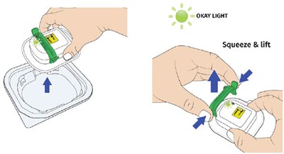 Image 12 (UDENYCA ONBODY injector)
