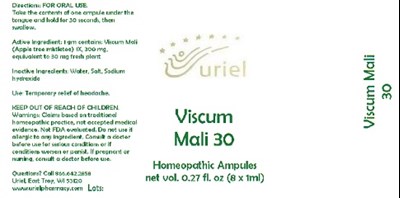 ViscumMali30Ampules.jpg ViscumMali30Ampules