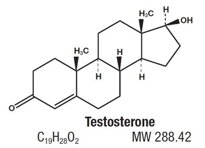 structure - image 07