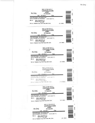 cephLabel - SDistributi18101715120 0001