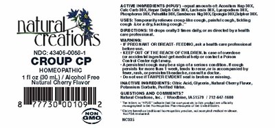 Image Description (Croup Cp)
