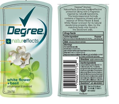 Degree White Flower And Basil 2.6 Oz (Degwhiteflwrbasilpdp)