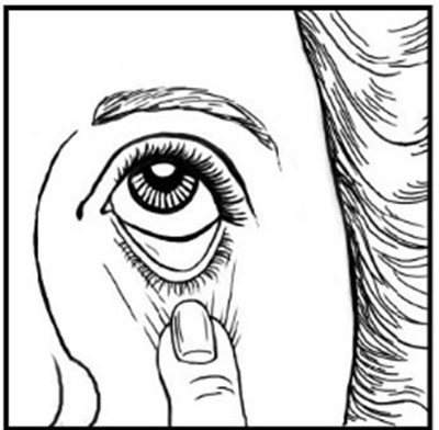 Eye (Image 05)