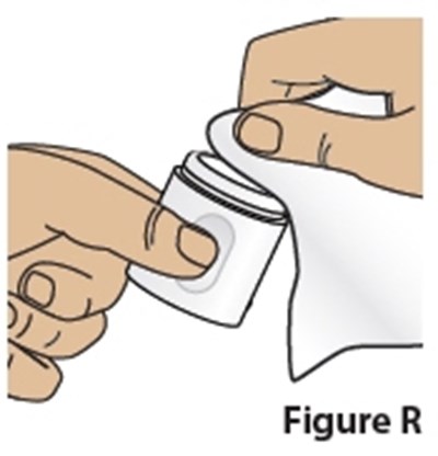 Figure R (Sofdra 25)