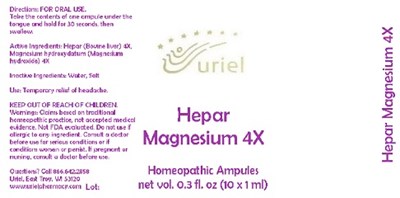 Heparmagnesium4ampules