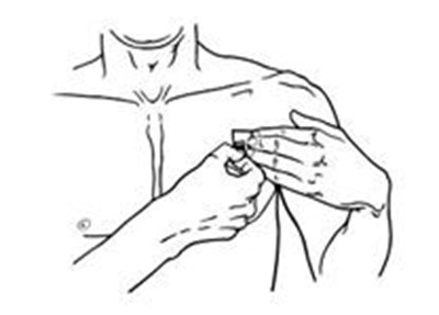 Figure H Instructions (Butrans Instr Figh)
