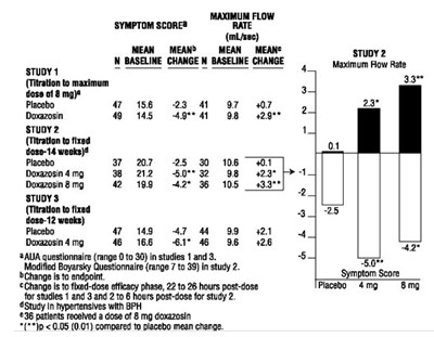 c2bacf15-e521-4d06-b4c6-45b40036b73c-02.jpg c2bacf15 e521 4d06 b4c6 45b40036b73c 02