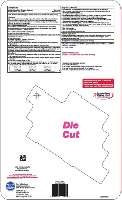 nicotine lozenge image 2 - image 07