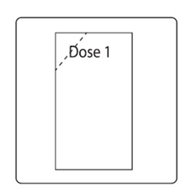 Dose 1 (3bbbfd09 4f0b 4d76 Ab63 240307c8098d 13)