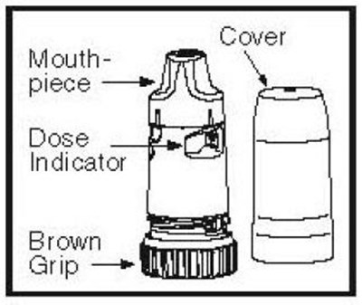 Figure 1 (Image 04)