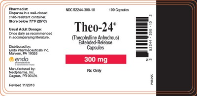 theo-24-4.jpg PRINCIPAL DISPLAY PANEL - 300 mg Bottle Label - theo 24 4