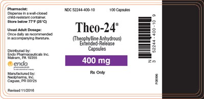theo-24-5.jpg PRINCIPAL DISPLAY PANEL - 400 mg Bottle Label - theo 24 5
