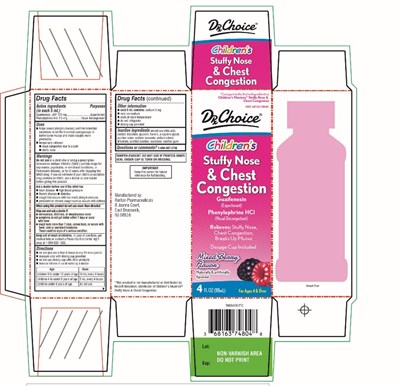 Drx Choice Children's Stuffy Nose And Chest Congestion (Stuffynose Fig1)