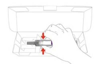 Figure (Ebglyss Pfs Ifu 4 V1)