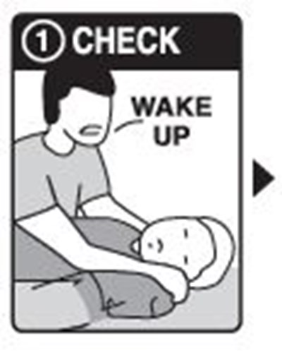 Step 1 (Commercial Image 1)