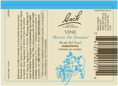 Principal Display Panel (20 mL Bottle Label)