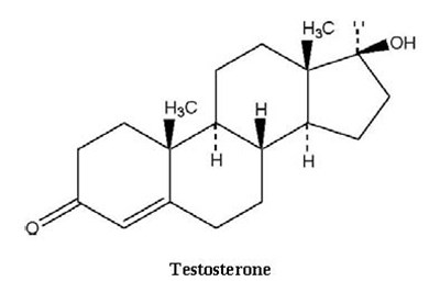 structure - testosterone gel 2