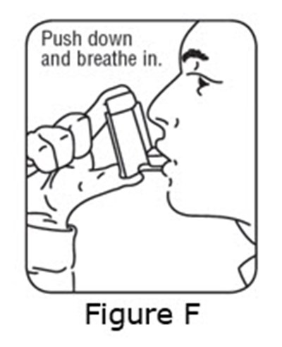 Figure E (Albuterol Sulfate Hfa N021457 9)