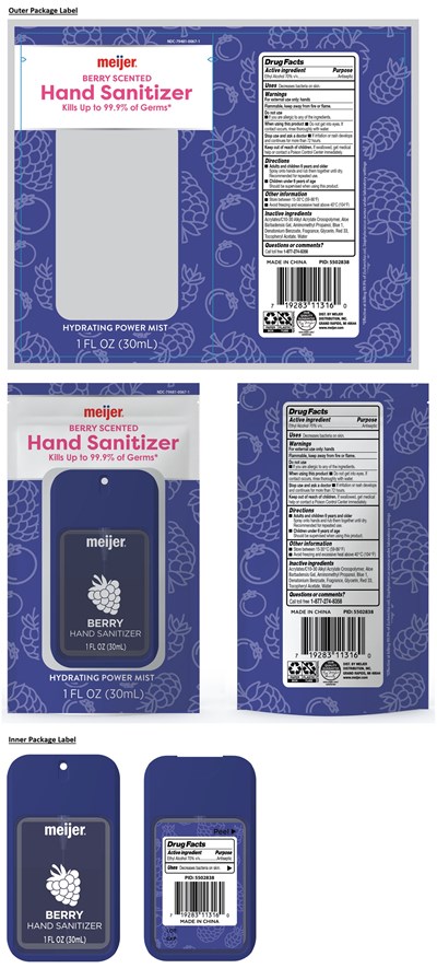 Berry Scented Hand Sanitizer (794810067 3)