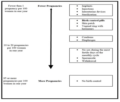 Figure 4 (Norethindrone Fig4)