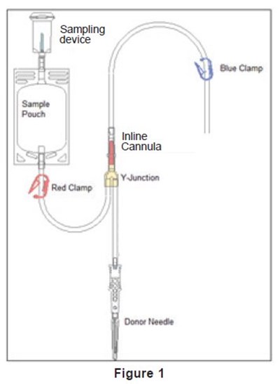 Fig1 (Image 01)