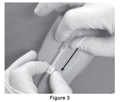 Fig3 (Image 03)