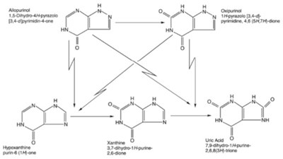 Allopurinol Structural Analogue (Image 02)