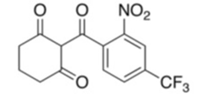 Figure 1 Structural Formula - structure