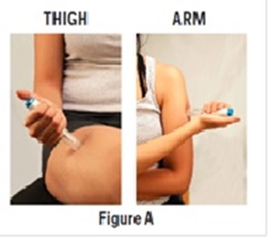 Fig3 (Fig3)