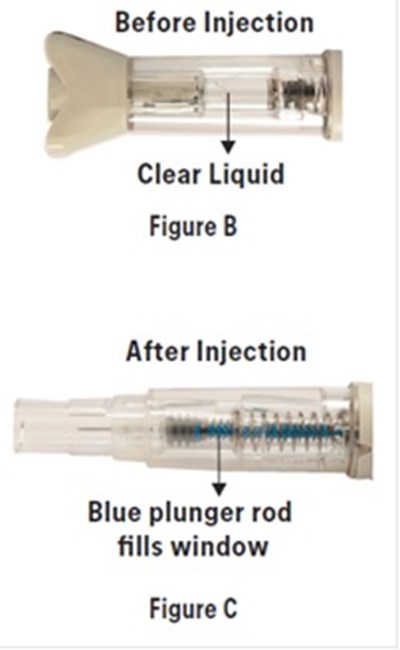 Fig4 (Fig4)