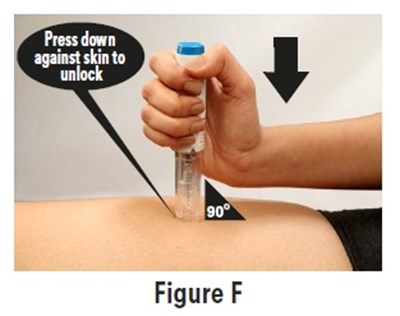 Fig7 (Fig7)